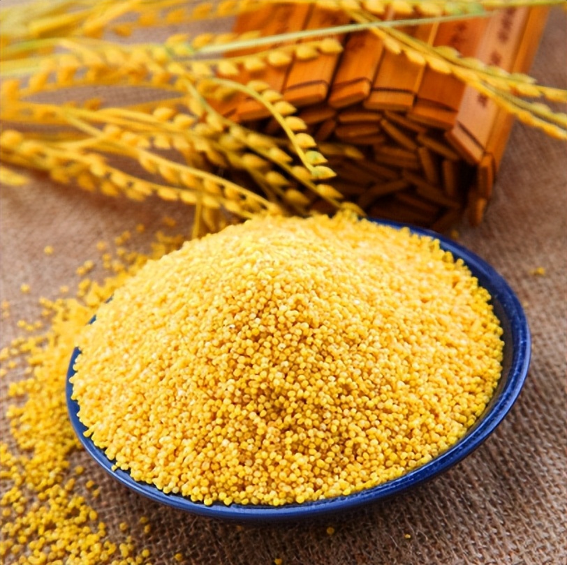 山东特产百年酥锅,济南特产王莉酥锅把子肉咋样