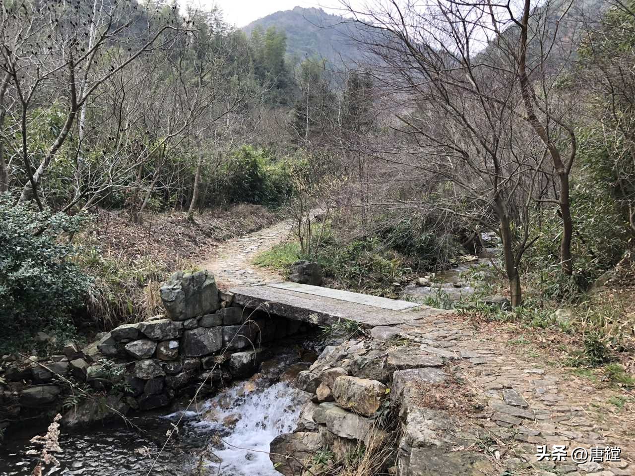 五磊寺的十里梅花径:追寻诗意仙境的心灵之旅