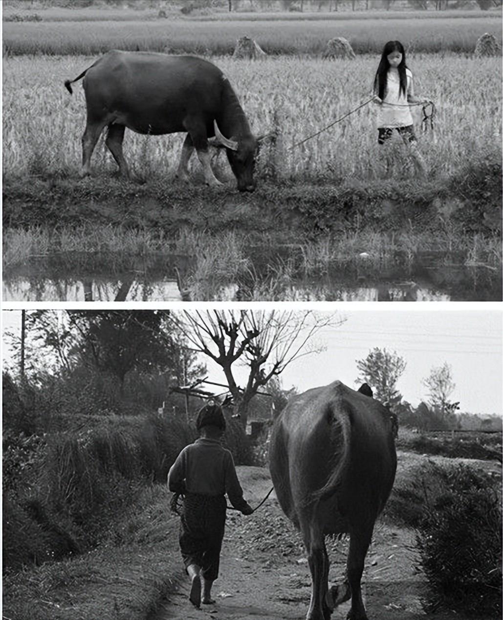 四十年前68张老照片,四十年前老照片大全