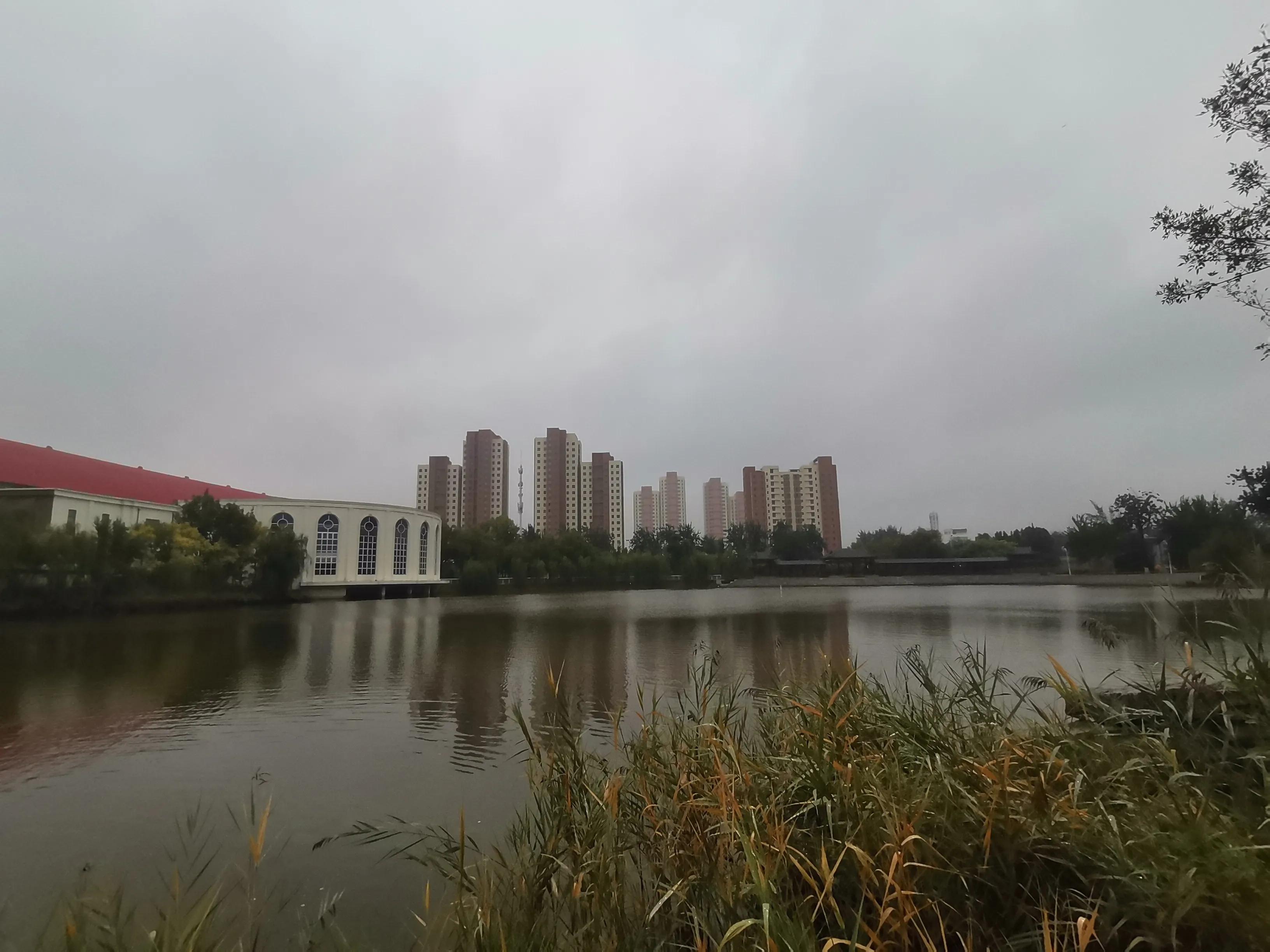 秋雨绵绵凉意浓浓,秋雨绵绵雾茫茫