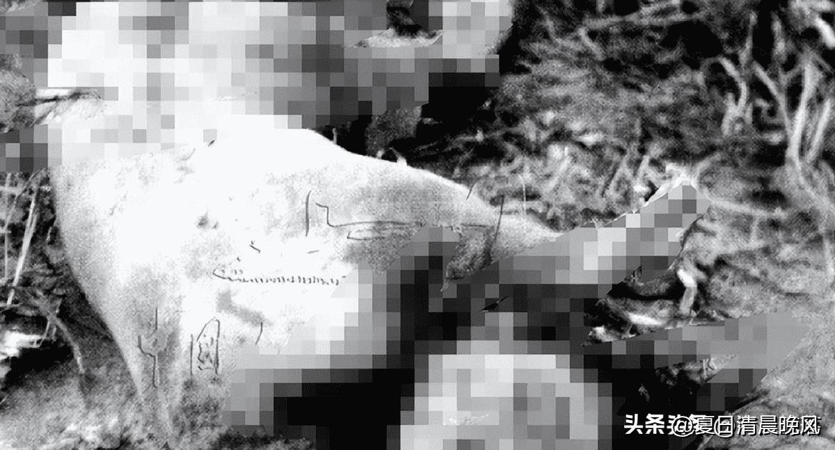 日军在永州暴行,日军进村暴行合集