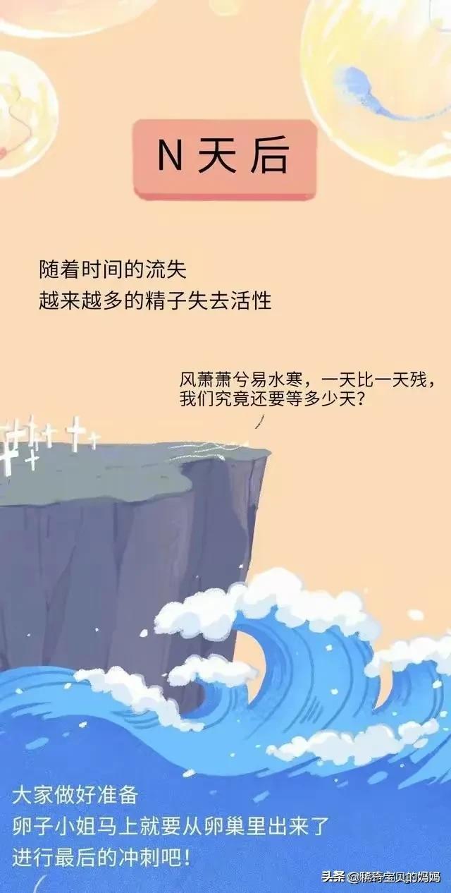 精子进入女生体内的24小时，都发生了些什么？励志漫画
