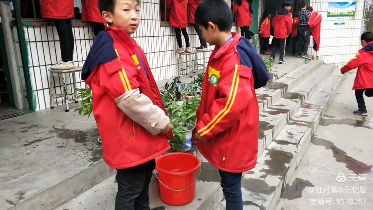 小学学雷锋日活动方案完整版,小学开展雷锋月学雷锋活动简讯