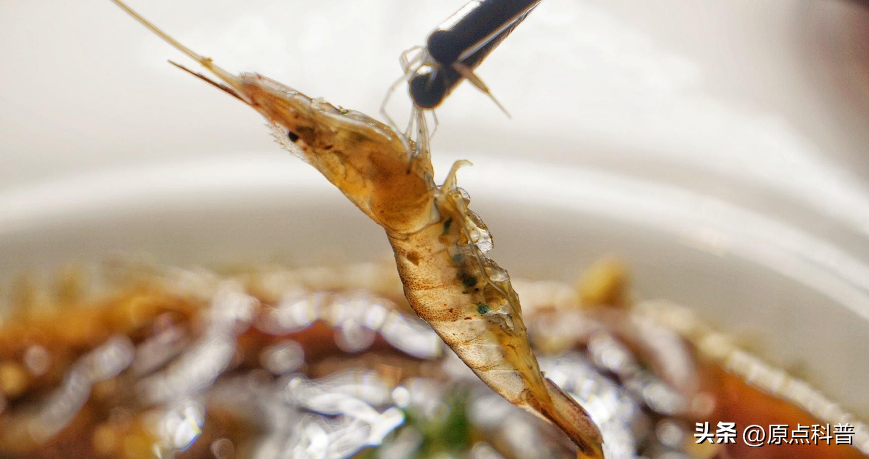 中国十禁名菜,十道禁忌名菜