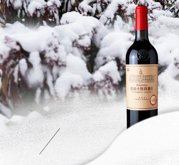 张裕卡斯特酒庄冬天,张裕卡斯特酒庄高清图