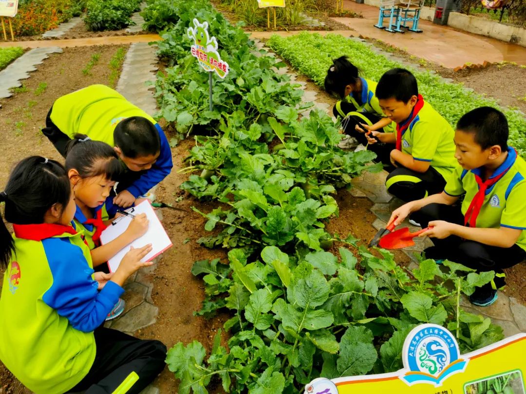 大连这个学校怎么样,大连的学校在山上