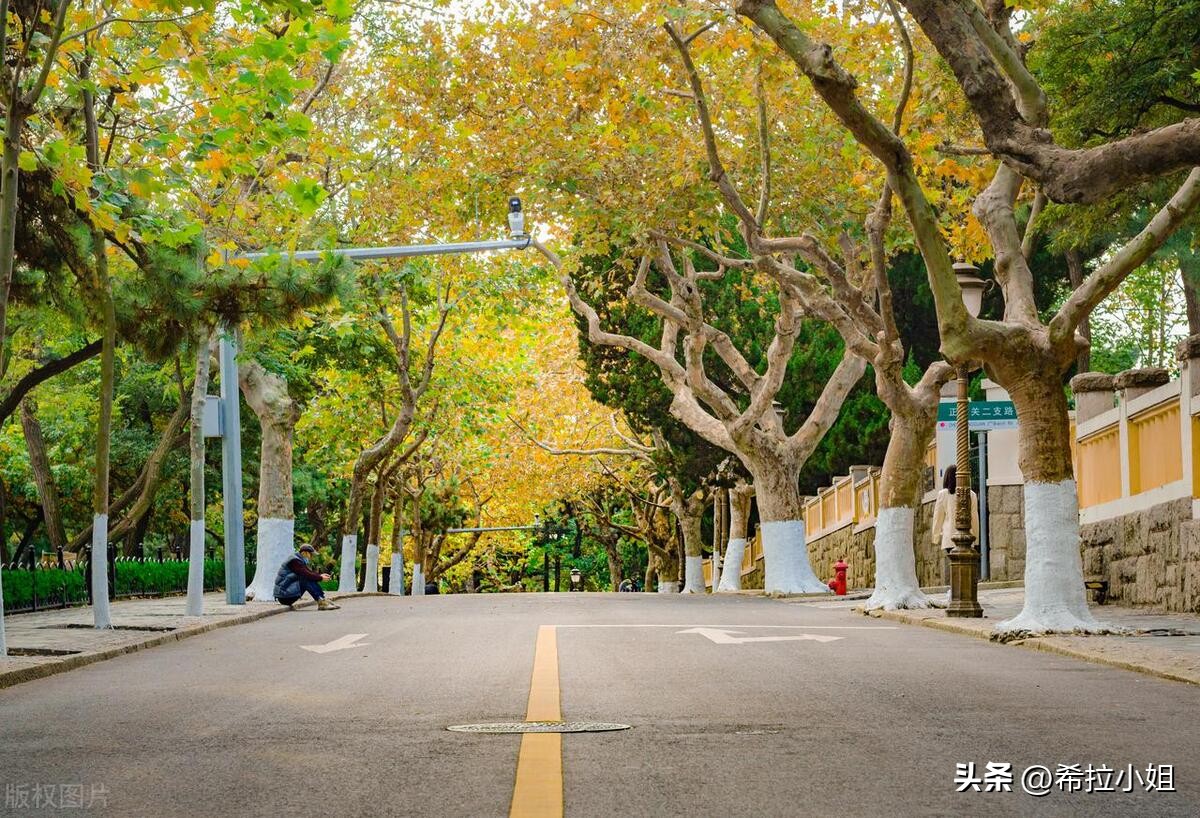 来青岛旅游必打卡,来青岛旅游都应该打卡的地方
