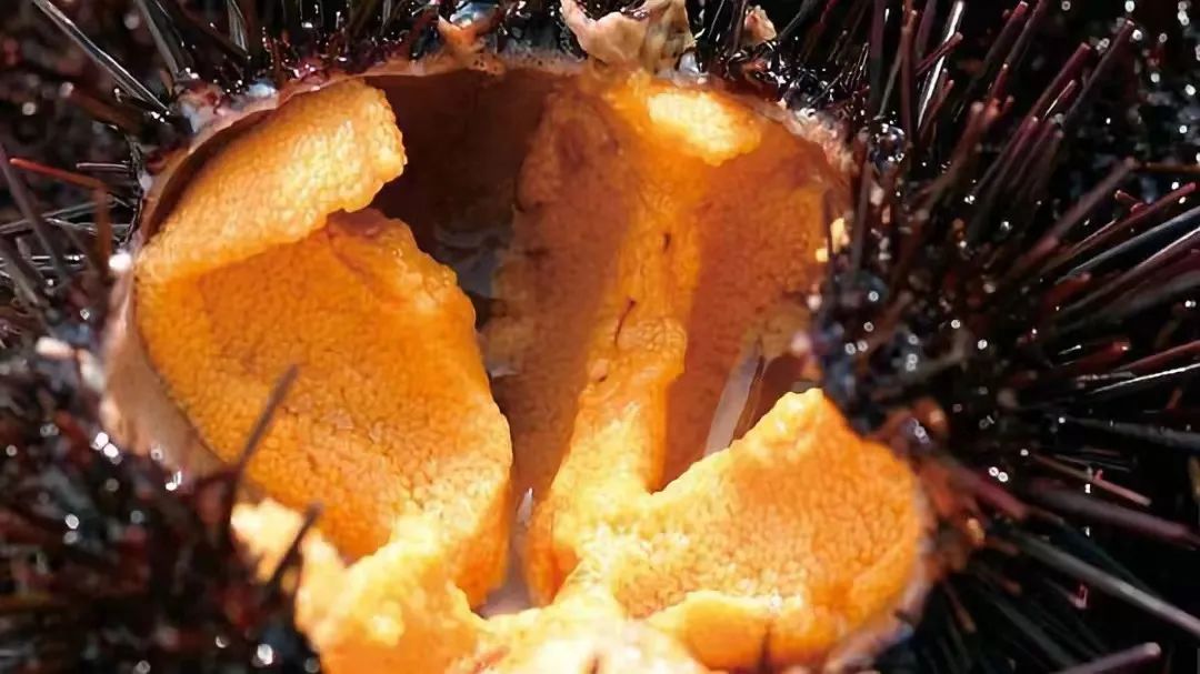 简单易做又美味的海鲜料理,经典海鲜料理100例