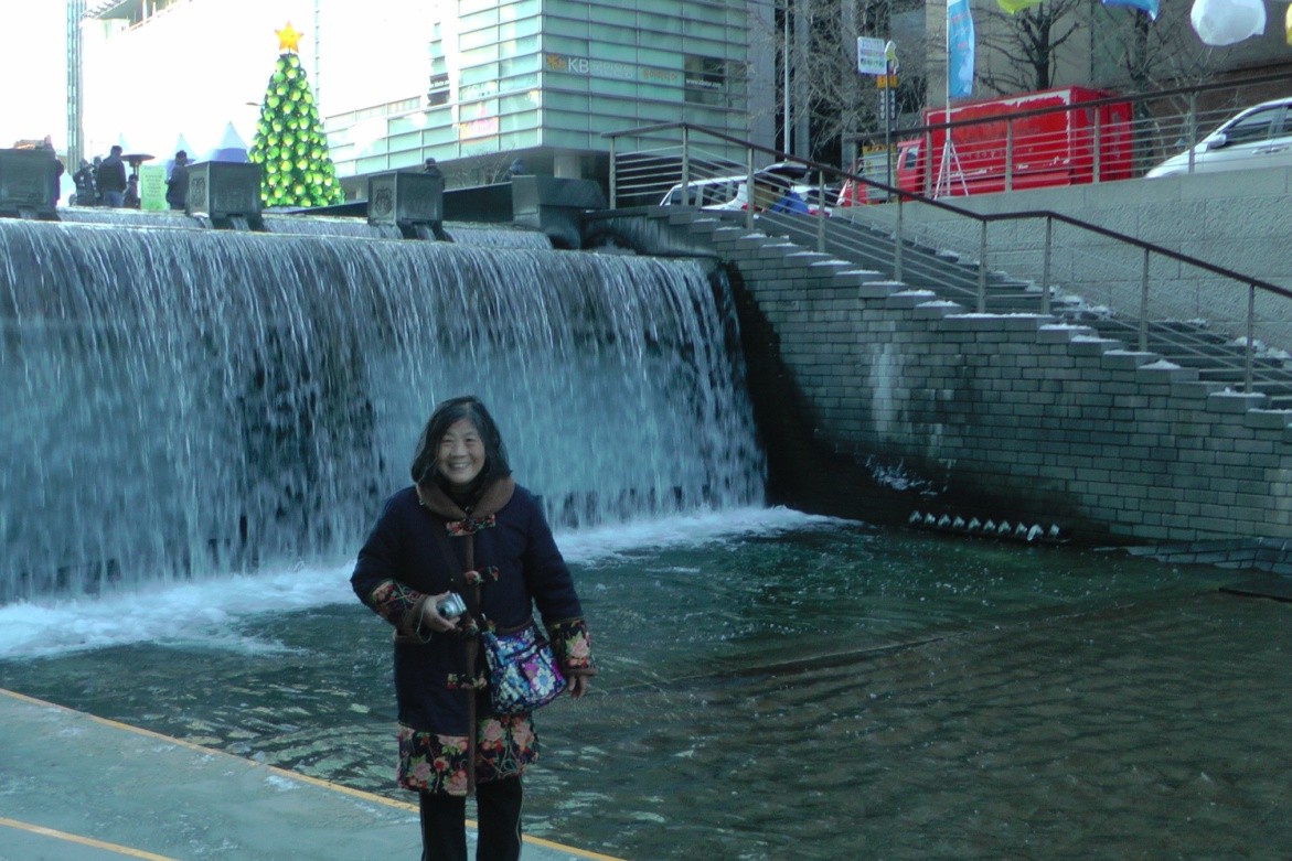 2014年G韩国行1.天津洋货市场