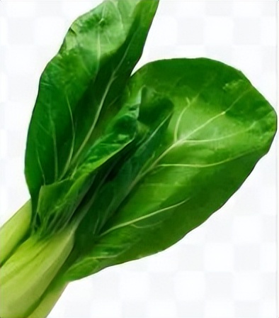 肠道准备不满意影响视野,肠道准备不充分肠镜会漏诊吗