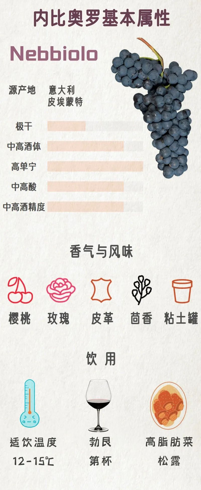 一分钟了解罗马教皇,一分钟了解意大利