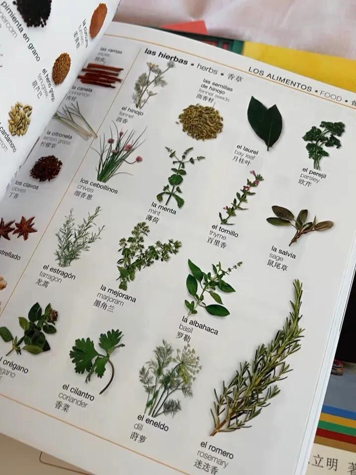 零基础自学西班牙语可行吗,西班牙语0基础入门自学书推荐