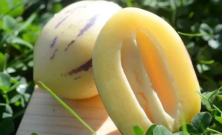 哪种人参果口感最好,水果人参果东方甄选