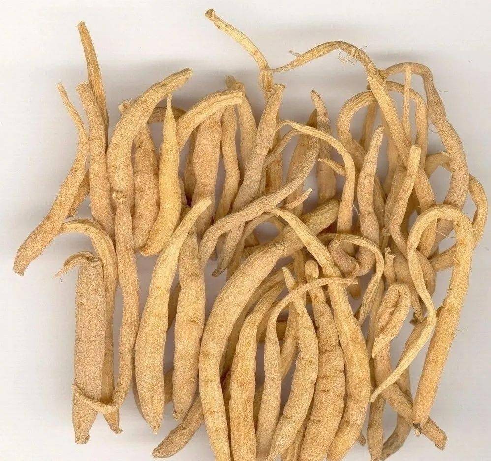 病毒性心肌炎的中药方剂,中医治疗病毒性心肌炎