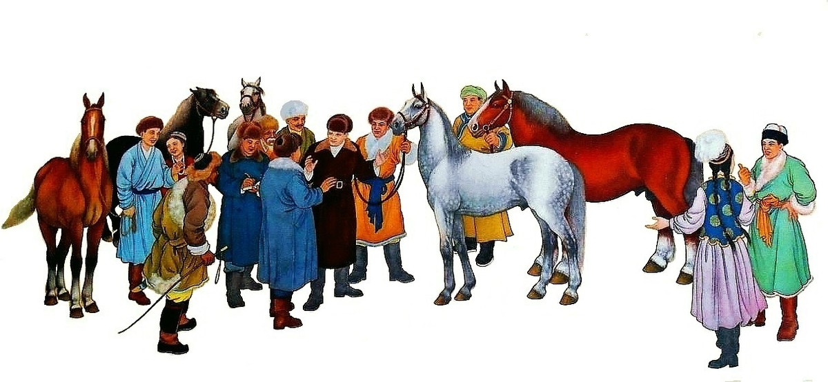 伊犁马属于热血马还是温血马,伊犁马有多高