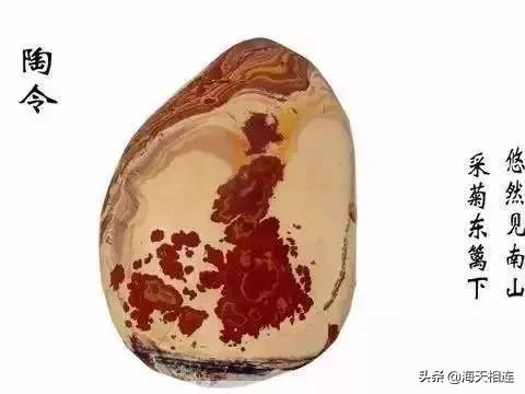 难得一见的仙鹤假奇石,这些难得一见的奇石美醉了