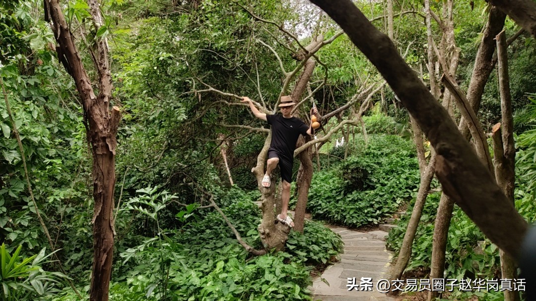 他拿不住单子的习惯，被专项训练法一招解决，交易终于取得突破