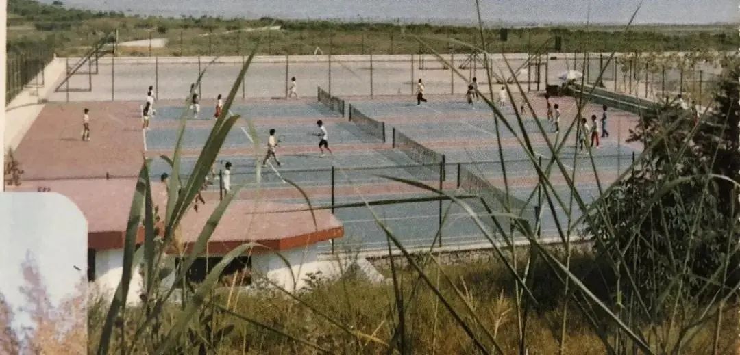 不是985211的理工科好学校有哪些,不是985211但是很牛的学校