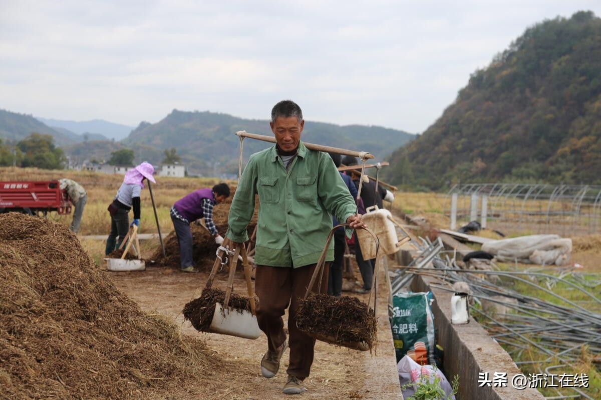 共同富裕庆元,共同富裕助农增收