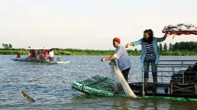 一湾碧水漾清波,一湾碧水潺潺