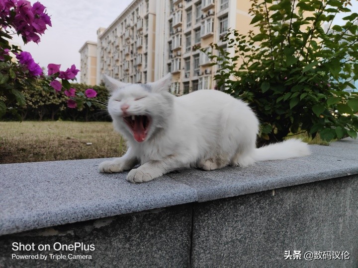 一加9rt现在到底该不该入手,一加9rt旗舰发布