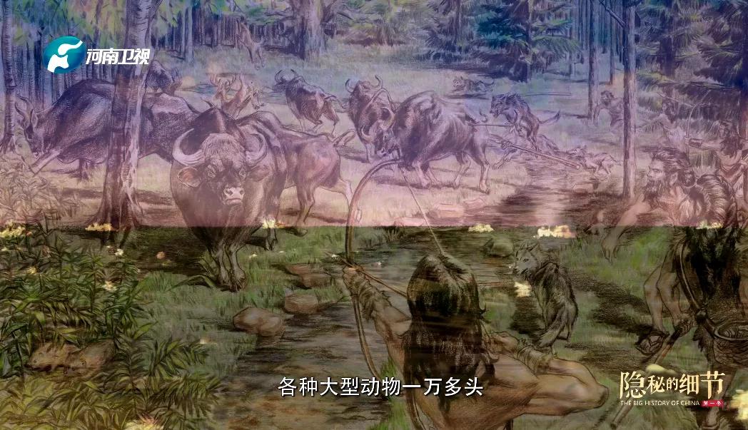 内娱夫妇情感对比,内娱模范夫妻十几年