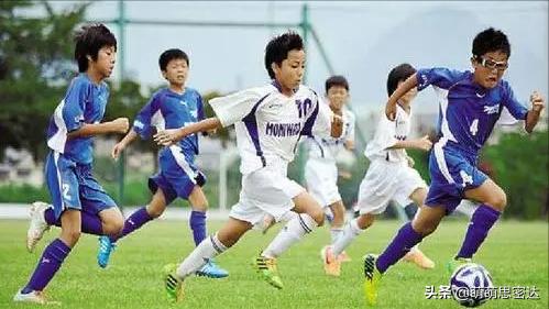 从落后到崛起视频,从排名垫底到崭露头角