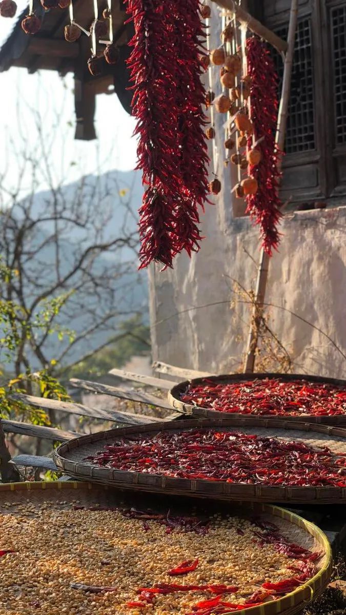 爱戴加厚内衣无痕无钢圈,爱戴最新内衣发布会