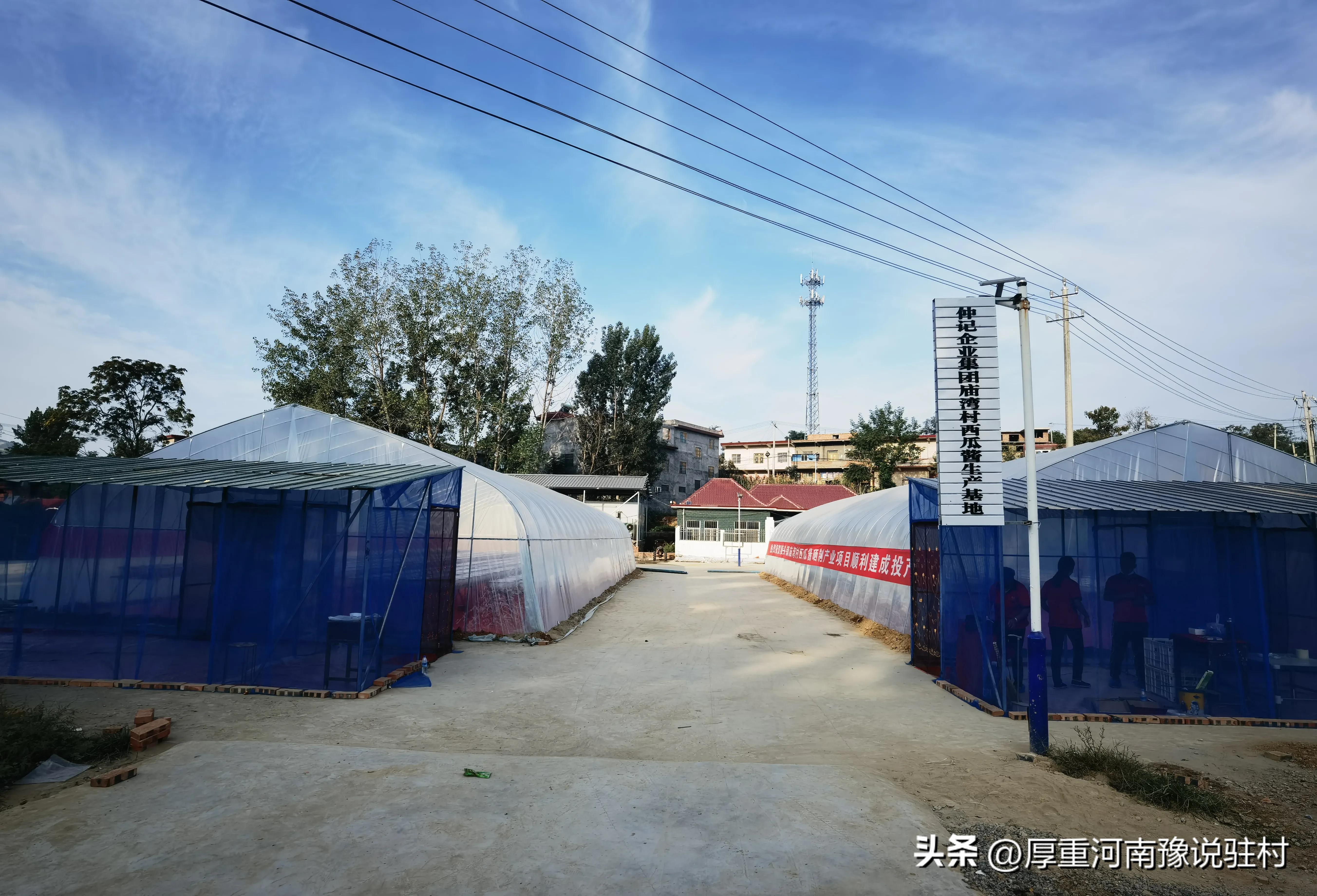 派驻村第一书记完整版,驻村第一书记15集