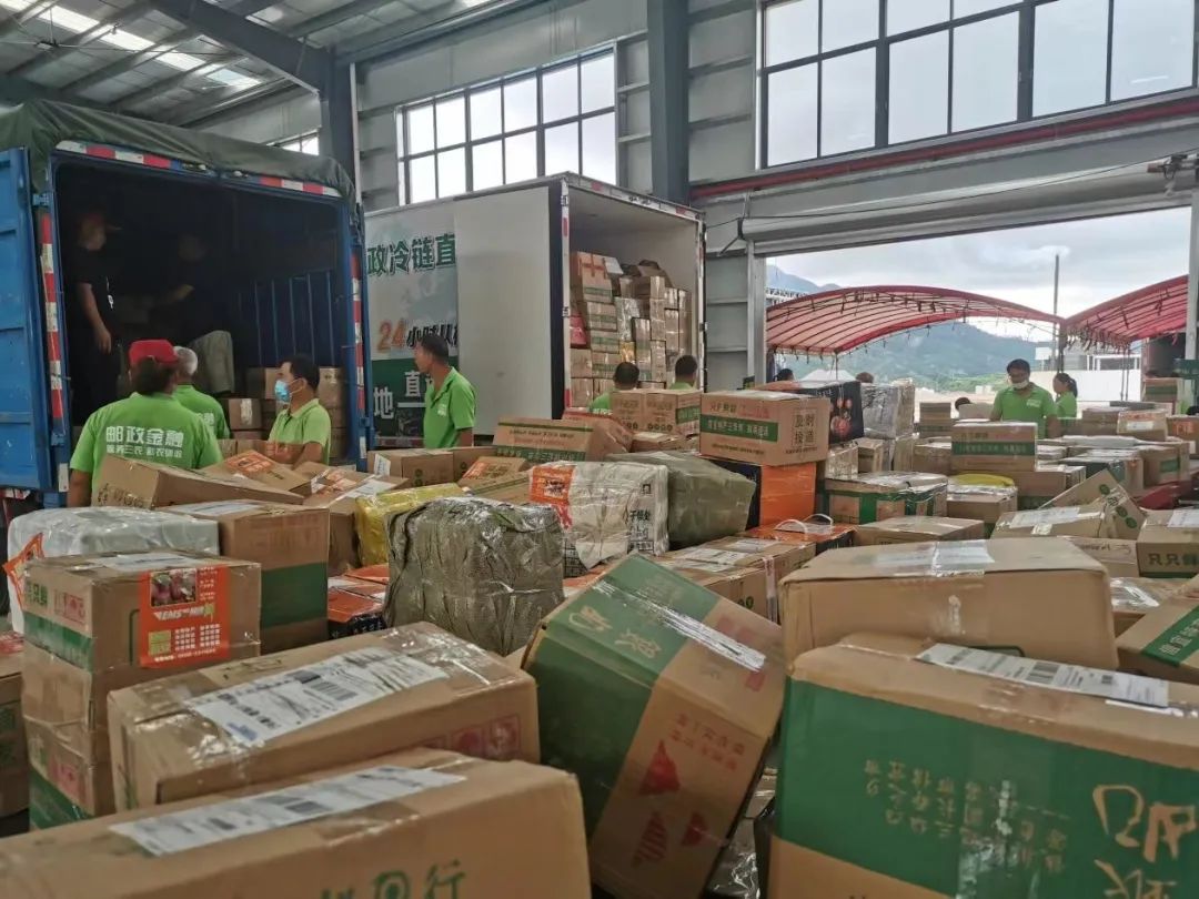 好“丰”景变好“钱”景！信宜钱排三华李电商营销火爆