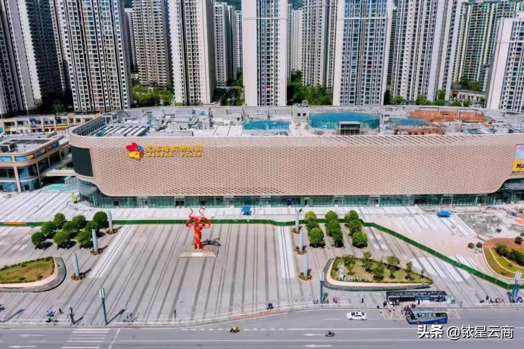 中免海口免税城项目,中国中免三亚国际免税城