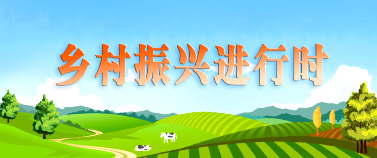 当好乡村振兴的助推器,乡村振兴后备力量总结