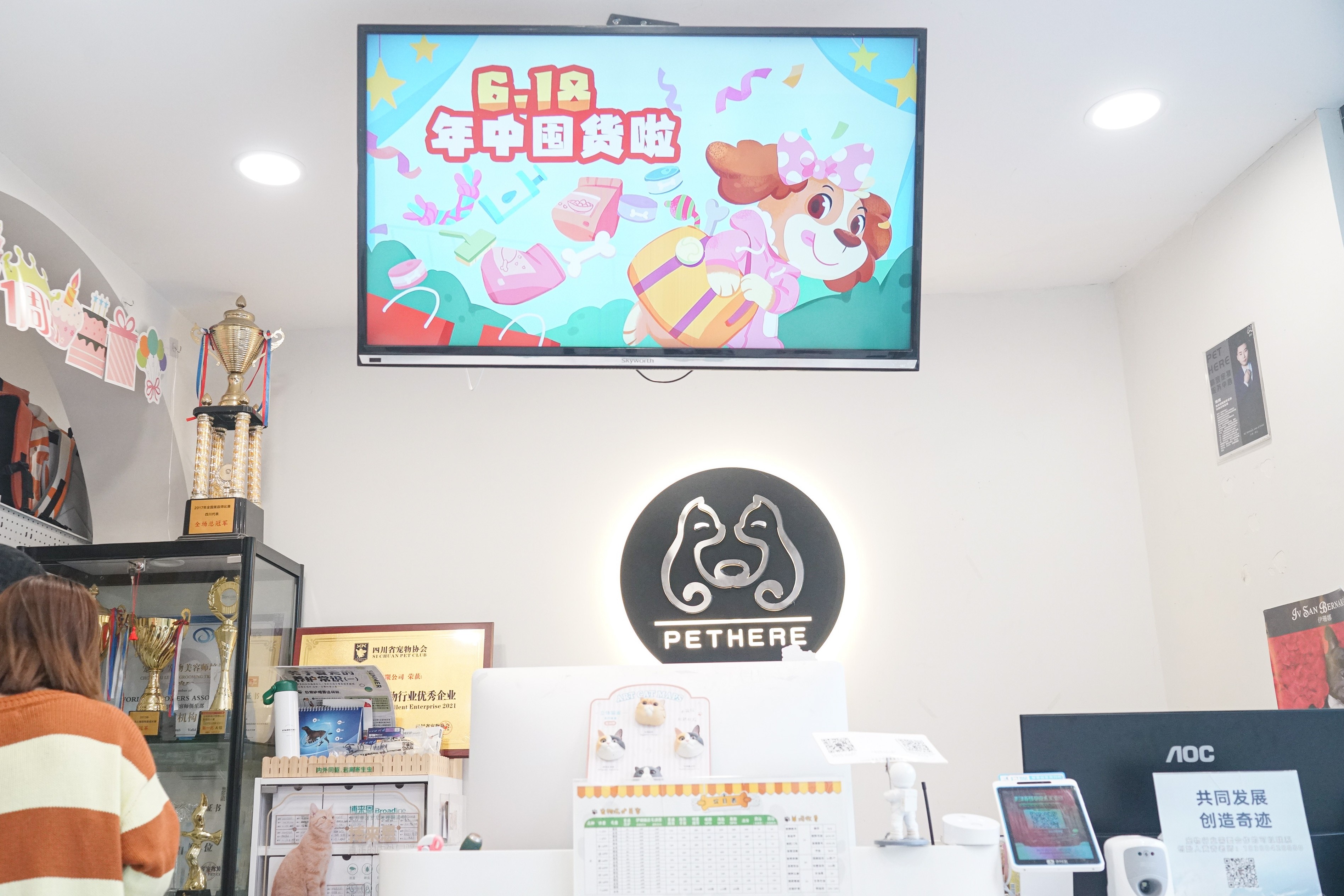 「哆啦猫盒」：宠物店行业的运营利器|项目精选