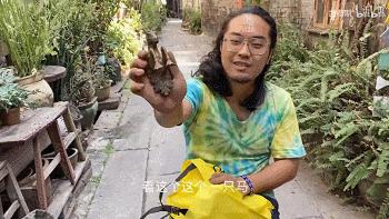 央视四个字评张颂文,中央6套评论张颂文