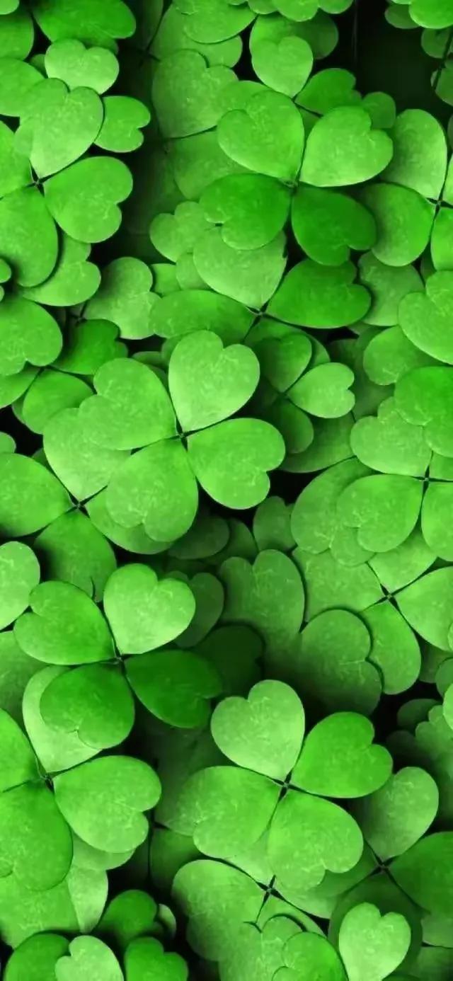 华为壁纸绿色护眼图片大全高清,绿色护眼壁纸高清全屏手机锁屏