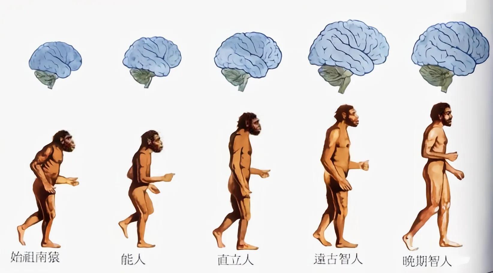 世界上最早的人类在哪个国家,世界上最早出现的人类在哪个洲