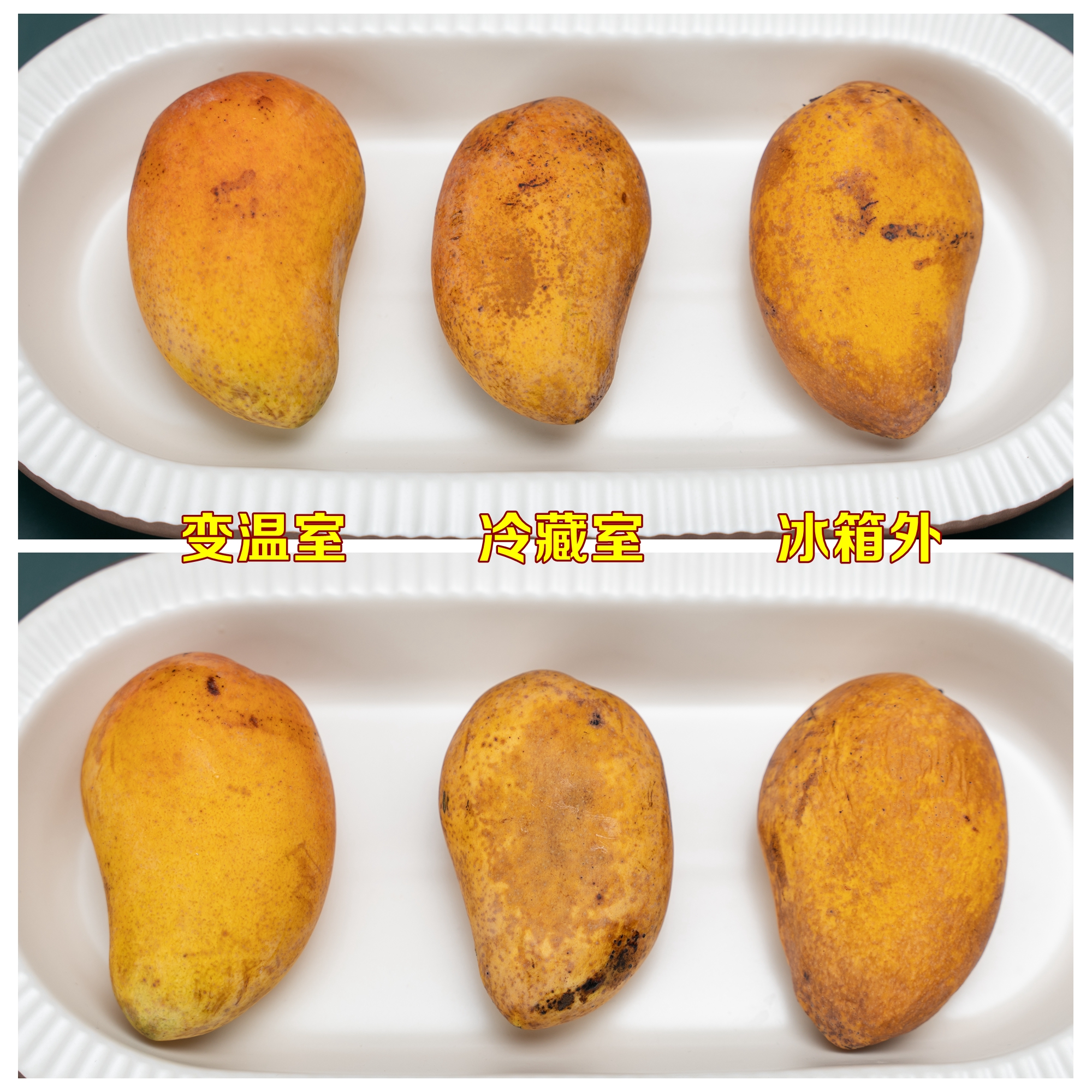 性价比高的冰箱选购参数,2022年618冰箱选购指南