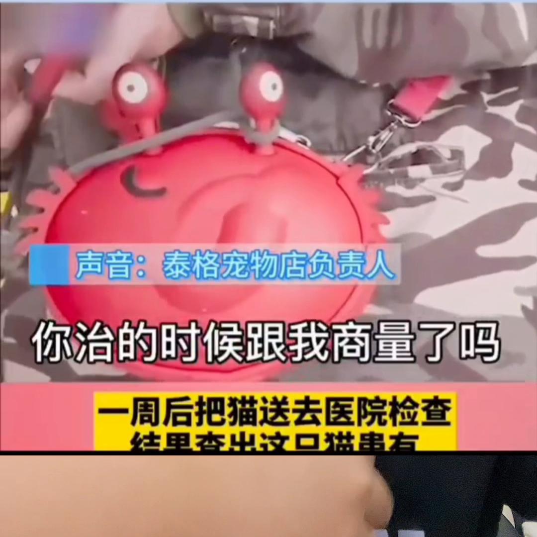 我包猫藓无论你多么难缠,你在我们心目中就是那个带了光环...