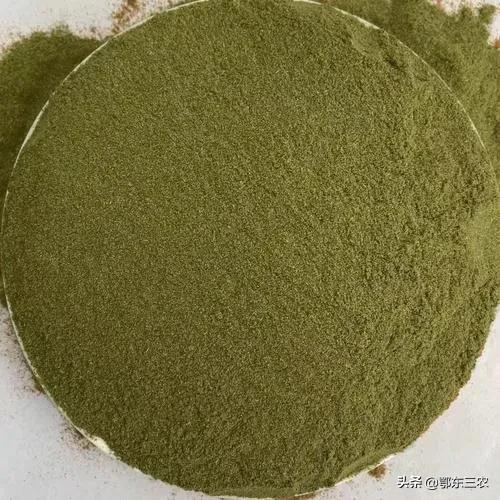 松针养猪饲料配方,松针粉在养猪的用途与功效