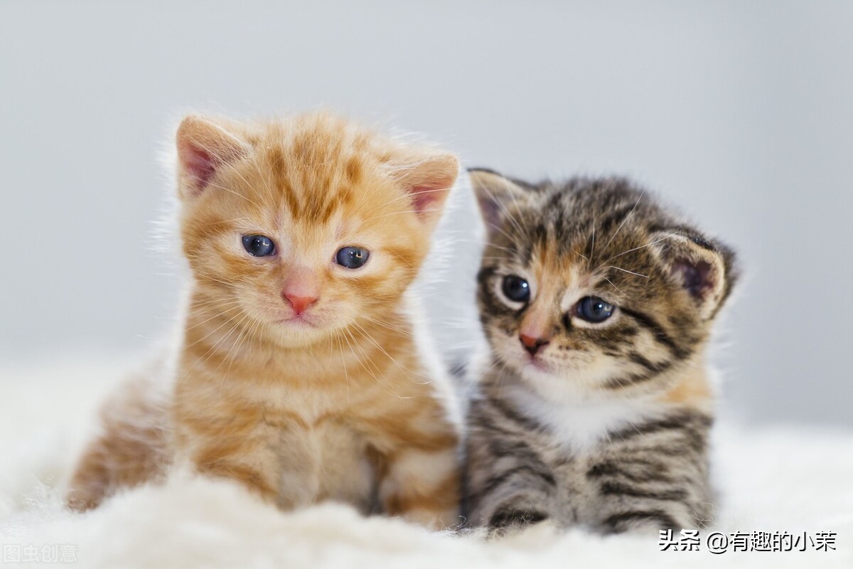 每日一笑话,每日一笑话大全