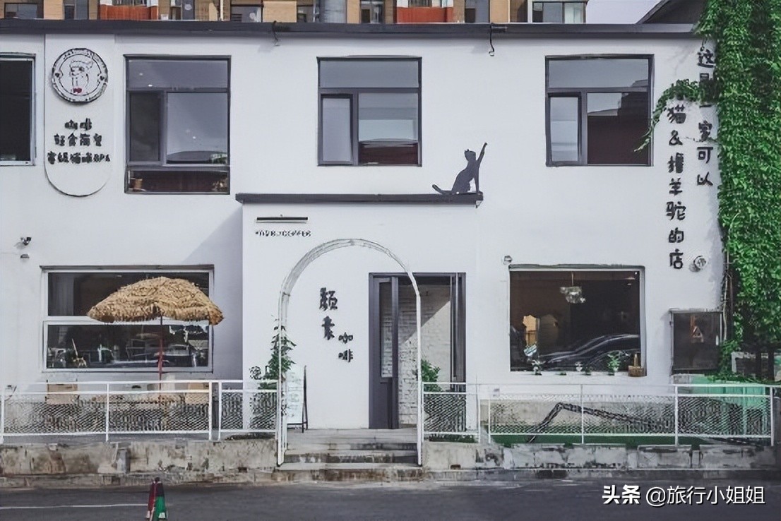 夏日海边浪漫迷人,滨城风光秀丽浪漫气息爆表