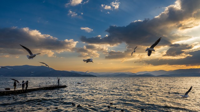 云南旅游推荐的普洱茶,普洱茶云南之旅