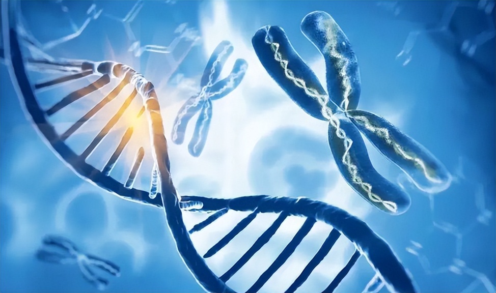 bbs到底是什么,bbs到底有什么好