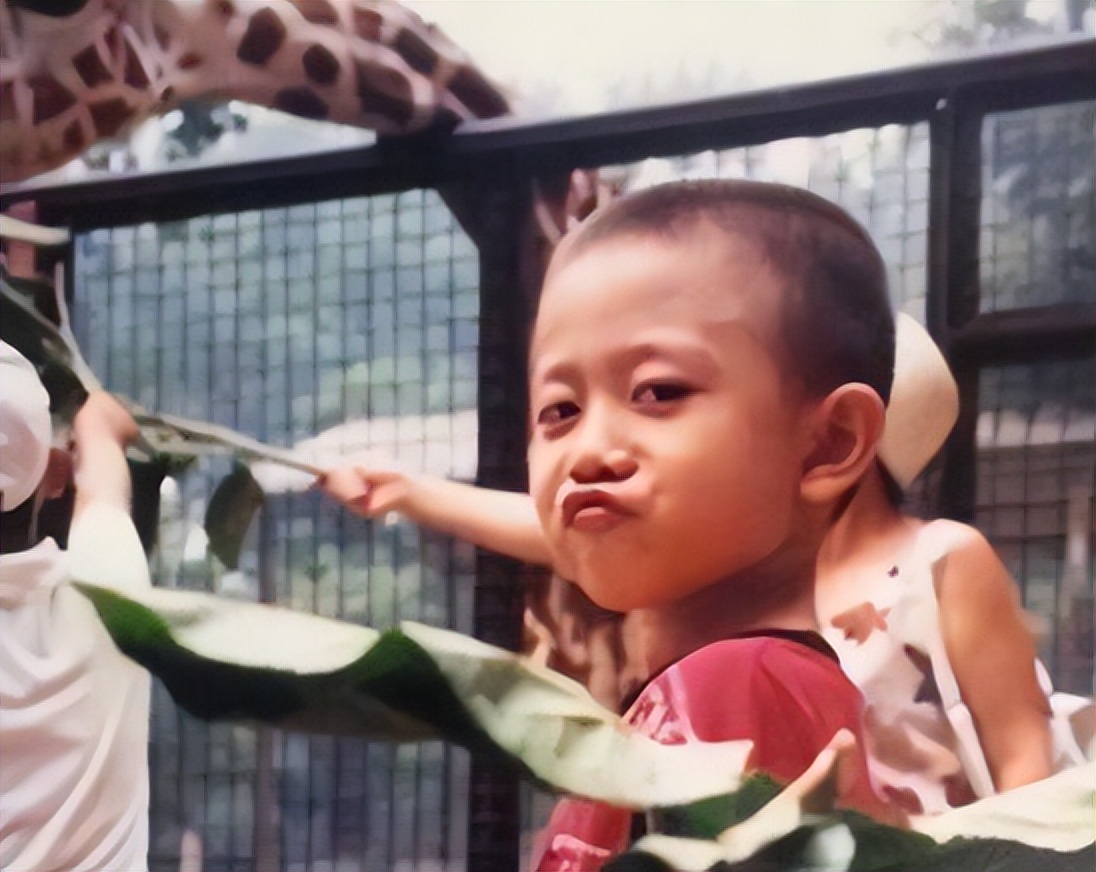 张一山对和杨紫谈恋爱的看法,分析张一山对杨紫的感情