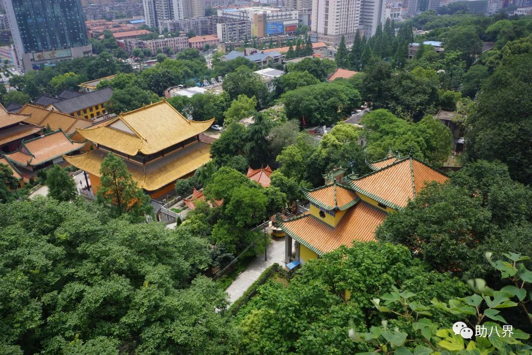 武汉十大旅游景点排名,武汉江夏网红打卡景点大全