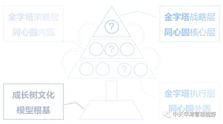 【文化专题】选择模型之成长树：自由活泼，不拘一格