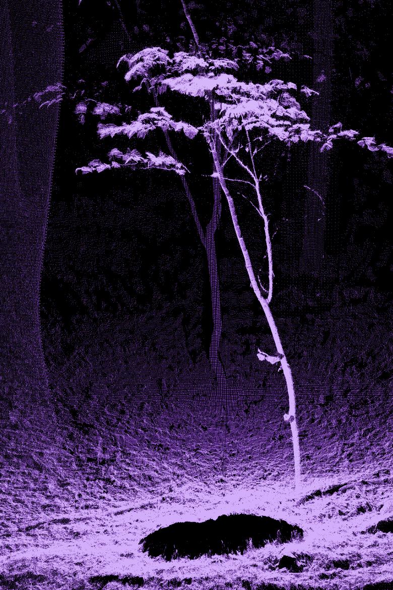 盘点十大顶级奢华意大利家具品牌,国际家具奢侈品品牌