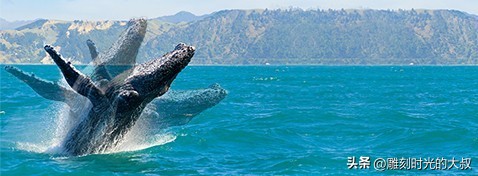 2023年双十一相机全画幅推荐,2022年6月哪款相机最值得入手