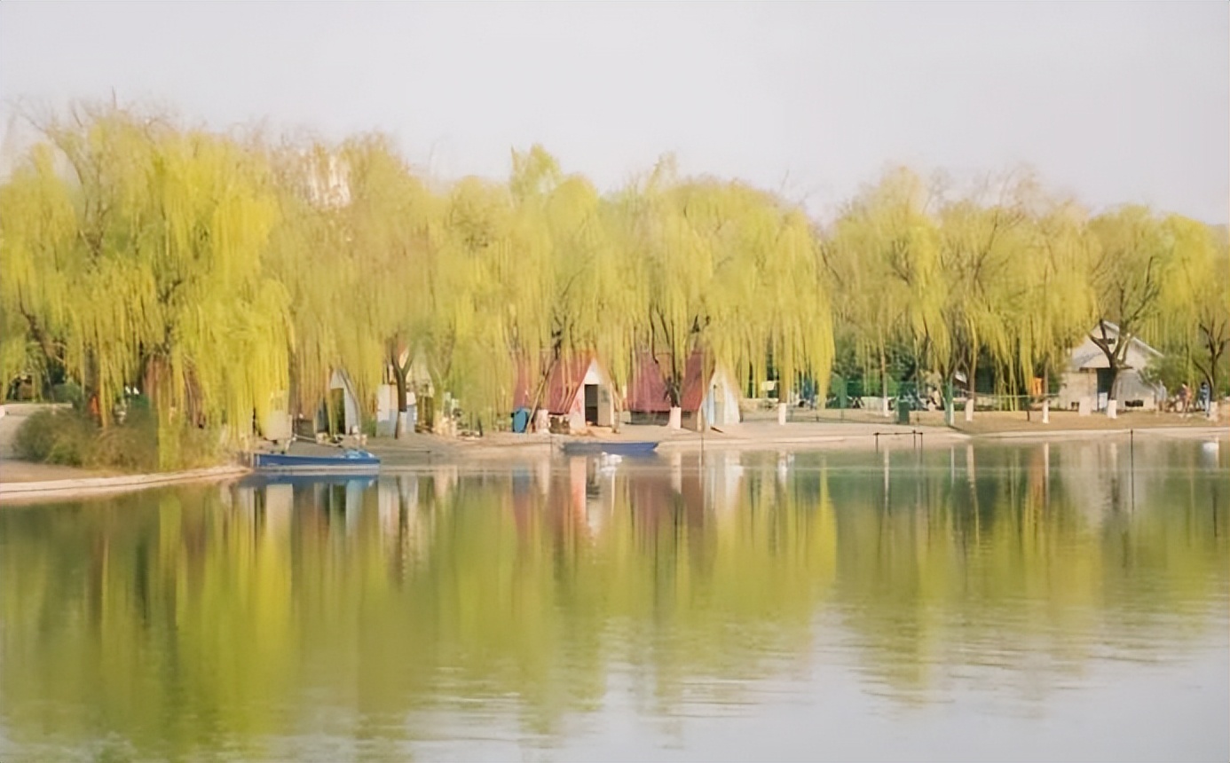 本科毕业设计奇葩,最好的毕业生设计作品