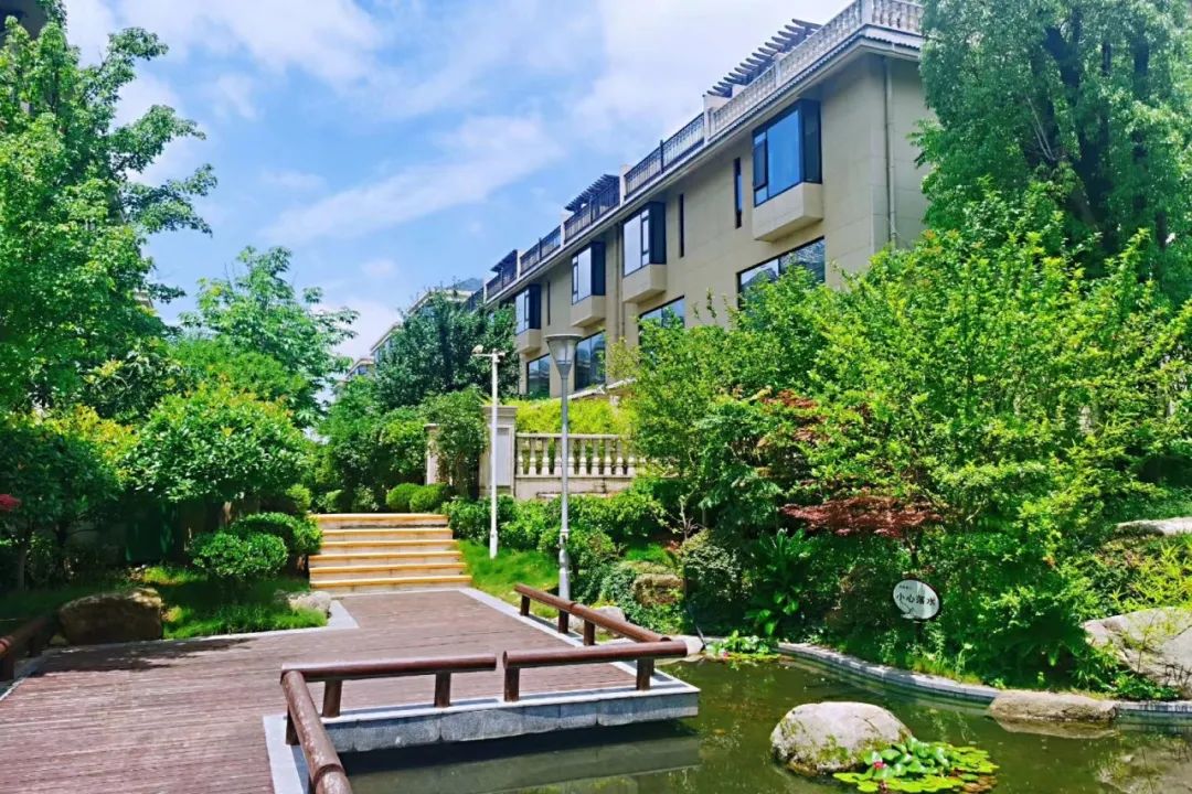 云慧城服|从社区到城市，鑫苑服务向美而行